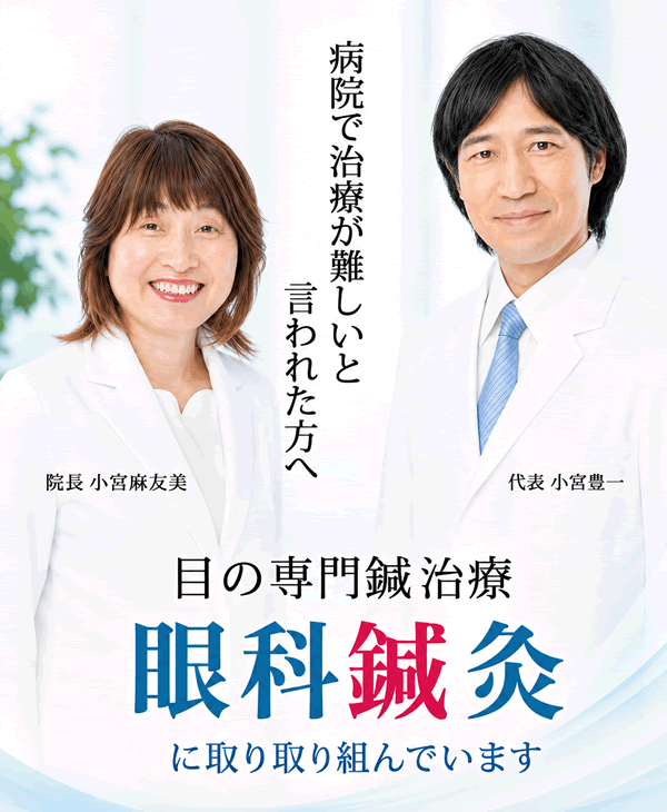 目の専門鍼灸　眼科鍼灸のご案内